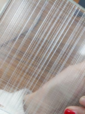 Vidrio laminado del guardarropa 6m m