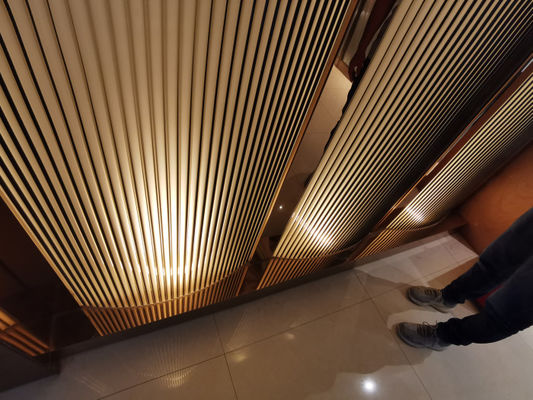 Vidrio fundido decorativo retroiluminado dimensional 1sqm de la cabina 3