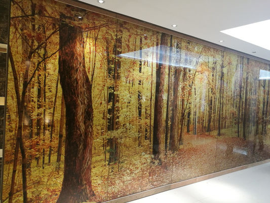 Vidrio fundido decorativo de la división ultra dar salida a 12m m de la pantalla